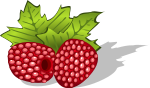 raspberries, avietes, berries, uogos, food